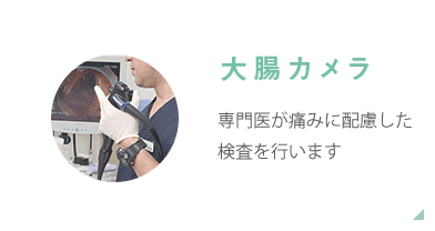 大腸カメラ　苦痛や痛みがなく楽で安全な検査をおこないます