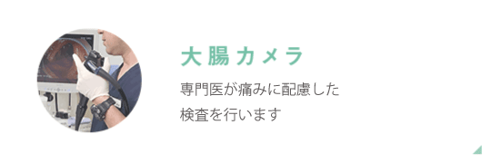 大腸カメラ　苦痛や痛みがなく楽で安全な検査をおこないます